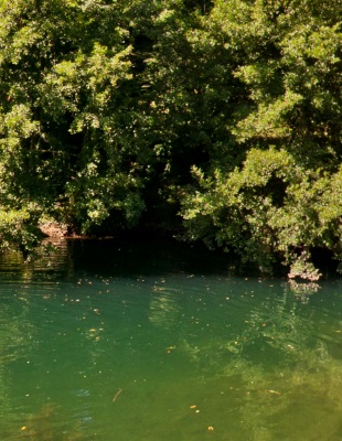 bezaubernder Campingplatz direkt am Fluss