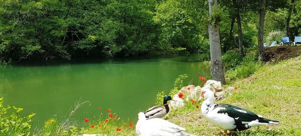 Kemp Parc des Monges Auribeau-sur-Siagne